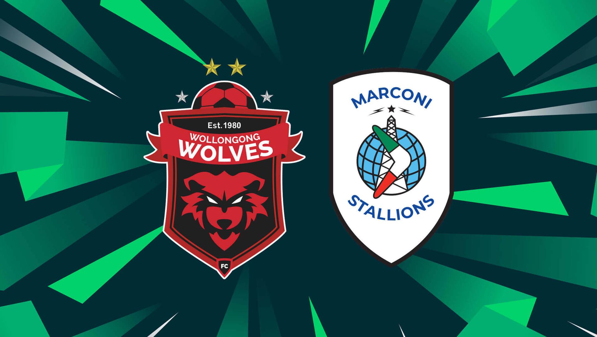 Wollongong Wolves vs Marconi Stallions