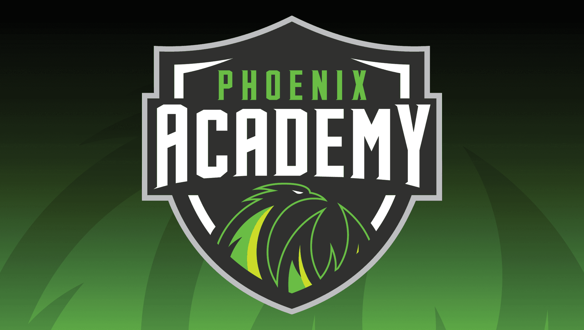 Phoenix Academy Tryouts - U12s & U14s - Term 2