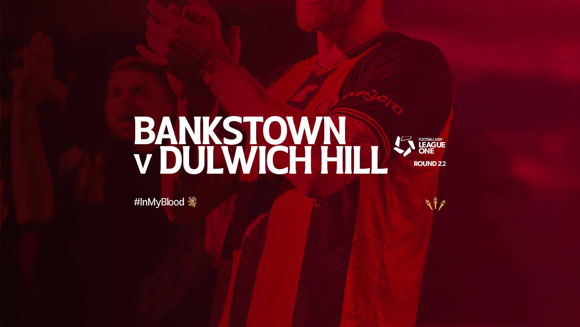 Bankstown City Lions FC v Dulwich Hill FC
