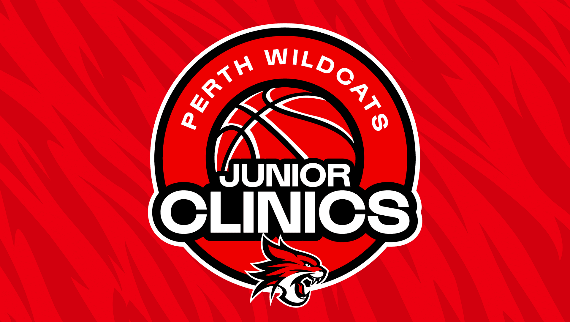 2026 Perth Wildcats' July Holiday Clinic 1
