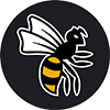 WASPs Rugby WASPs Rugby