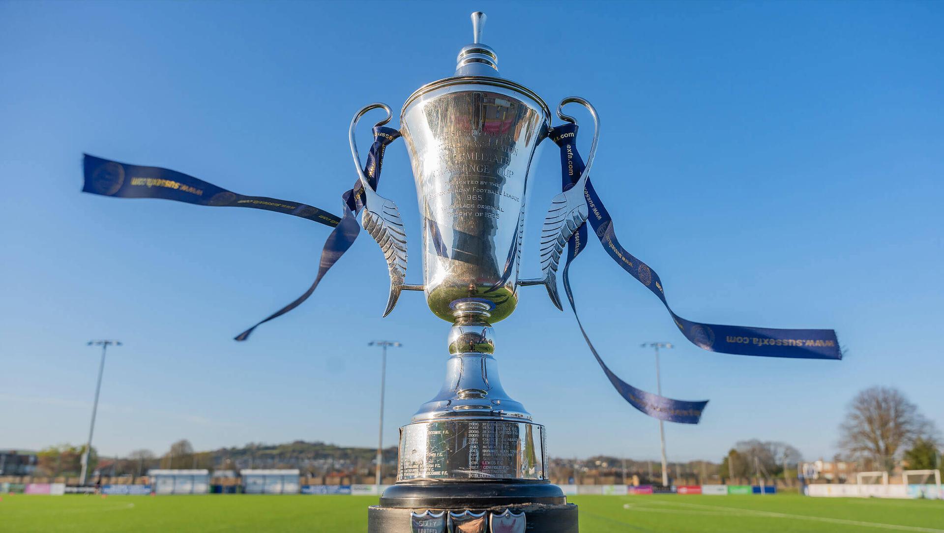 Sussex Intermediate Challenge Cup Final - Hailsham Town v Westfield Sussex Intermediate Challenge Cup Final - Hailsham Town v Westfield