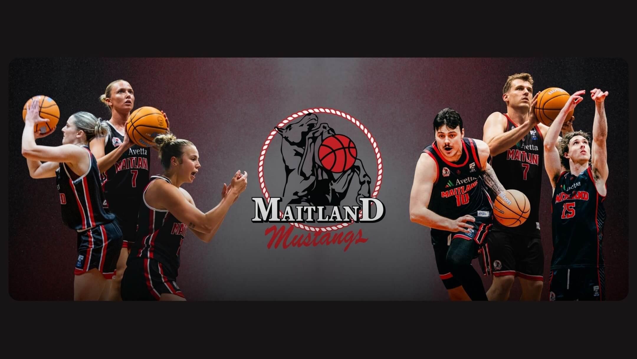 Maitland Mustangs